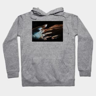 Congiunti Hoodie